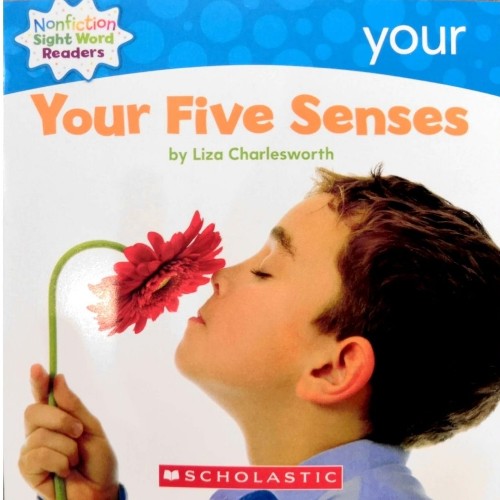 Your five senses