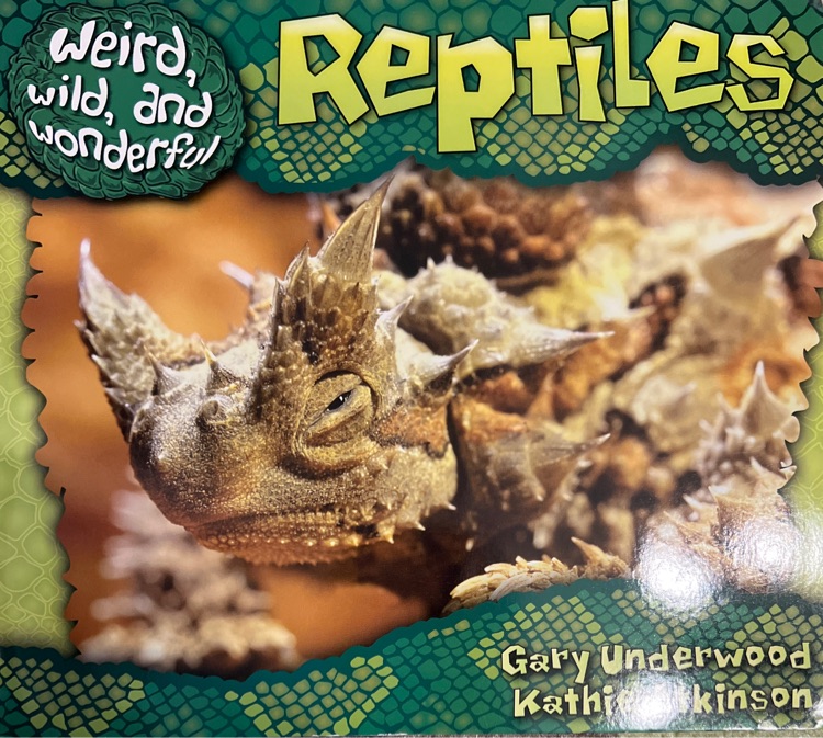 Reptiles