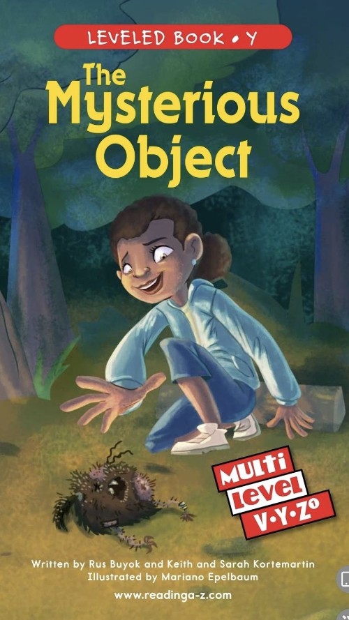 Mysterious Object(RAZ Y)
