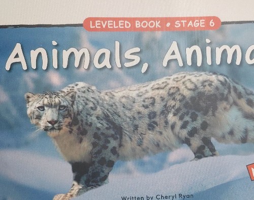 animals,animals