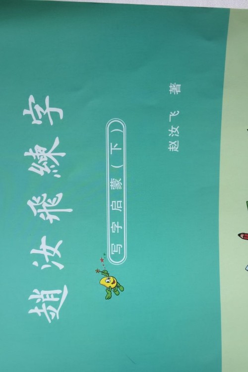 趙汝飛