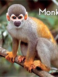 Heinemann G1-16:Level A Monkey