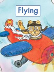 Heinemann G1-11(Level A): Flying