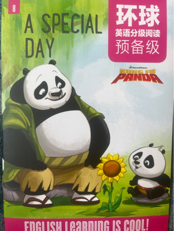 A special day(Kung fu panda)