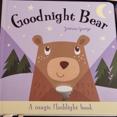 Good night Bear: A magic flashlight book