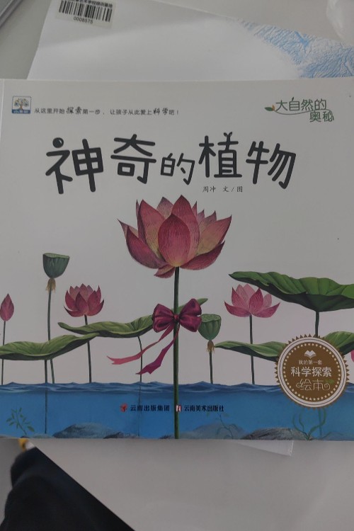 神奇的植物