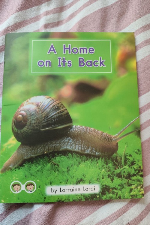 a home on.its.back