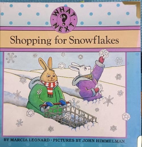 Shopping for snowflakes