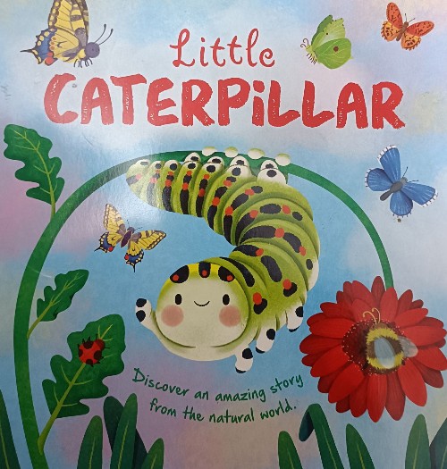 Little Caterpillar