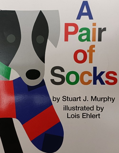 A pair of Socks