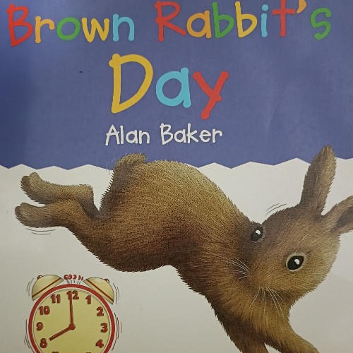 Brown rabbit's day