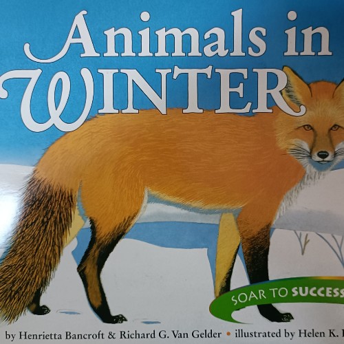 Animals in winter