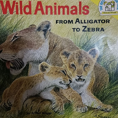 Wild Animals from Alligator to zebra