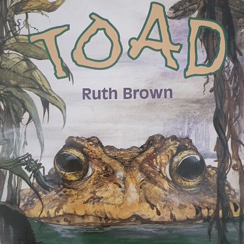 Toad