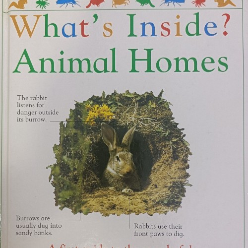 What's inside? Animal homes