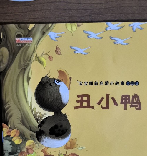 丑小鴨