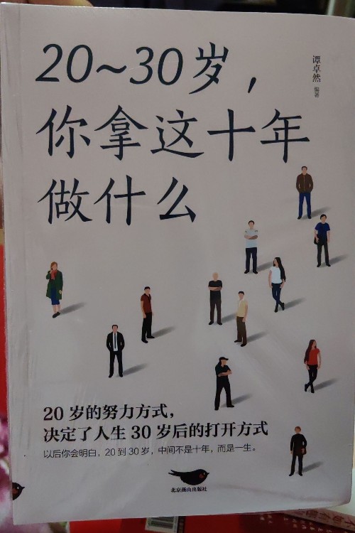 20～30歲, 你拿這十年做什么