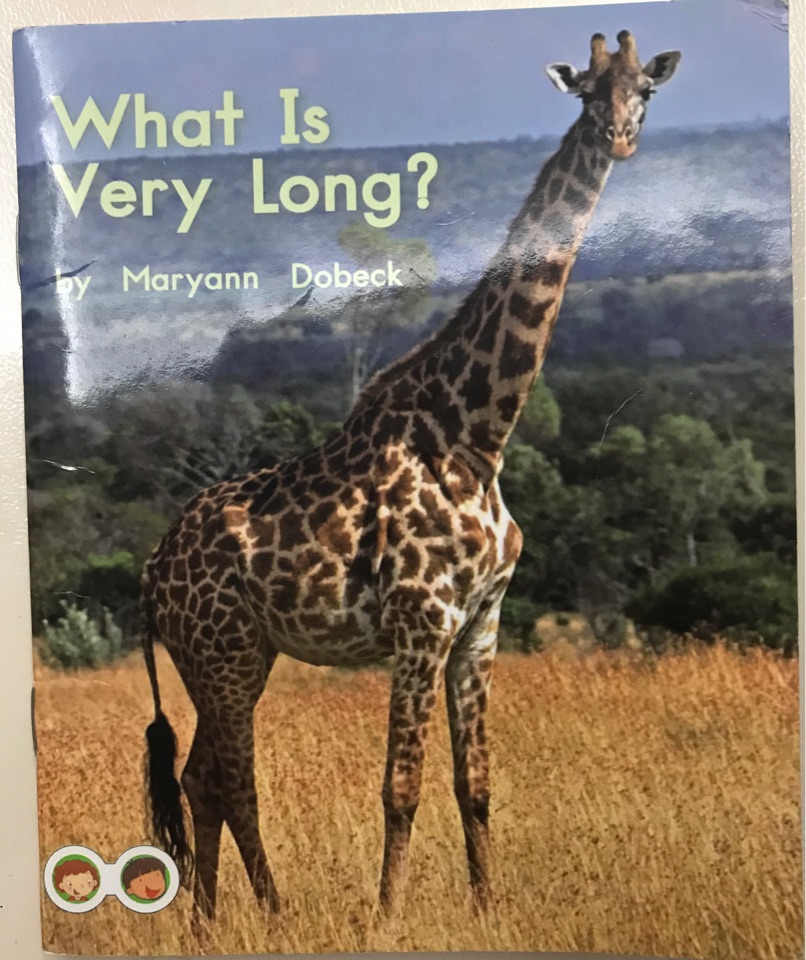 What is Very Long