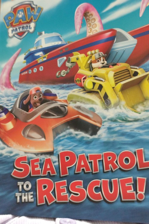 Sea patrol to the rescue