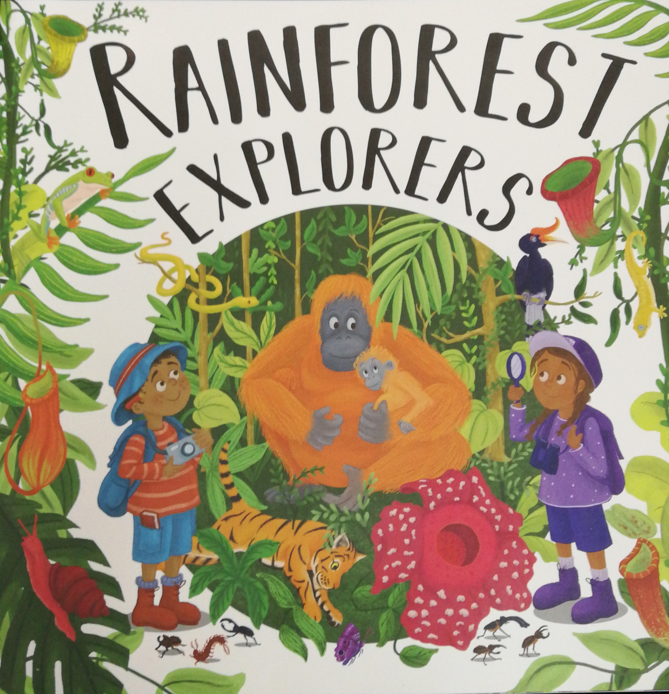 rainforest explorers