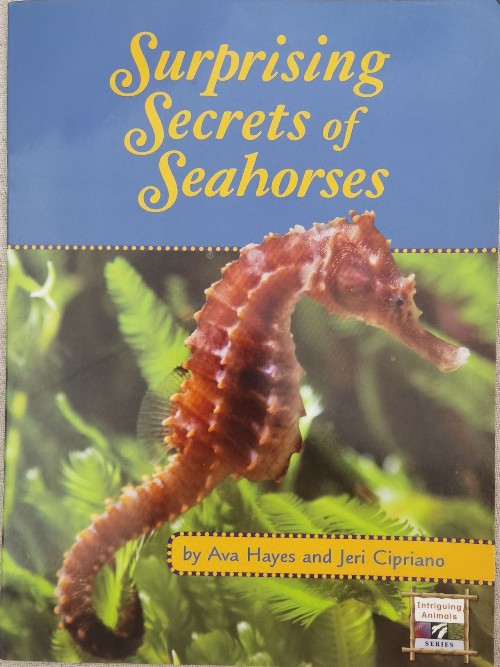 Surprising Secrets of Seahorses