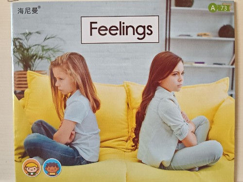 Feelings