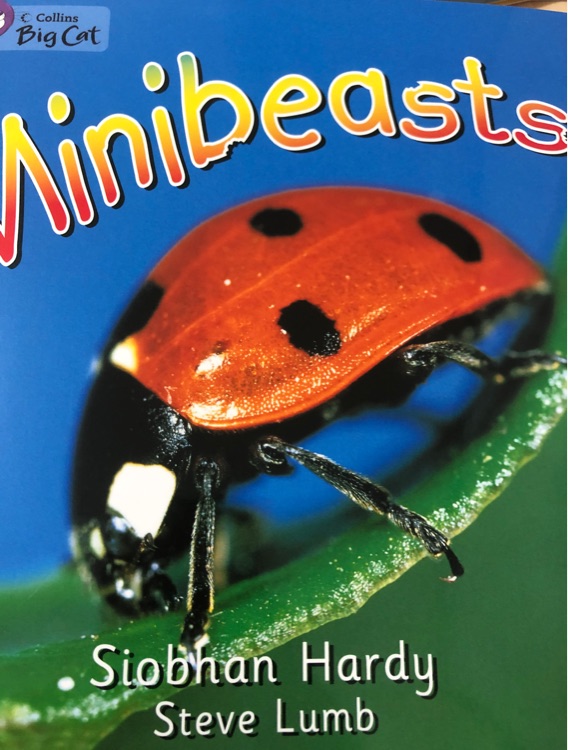 Minibeasts