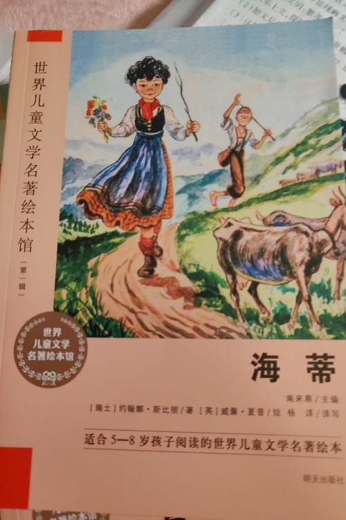 海蒂