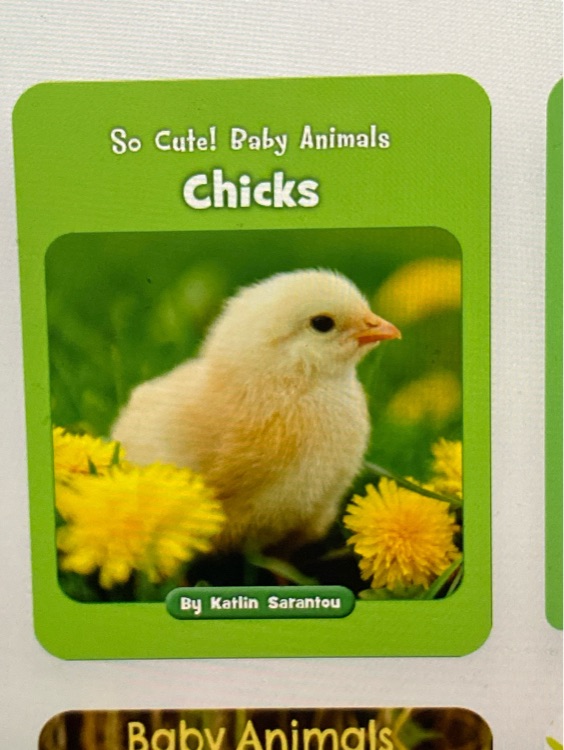 Chicks