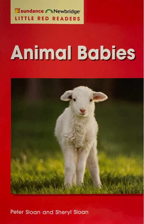 Animal Babies