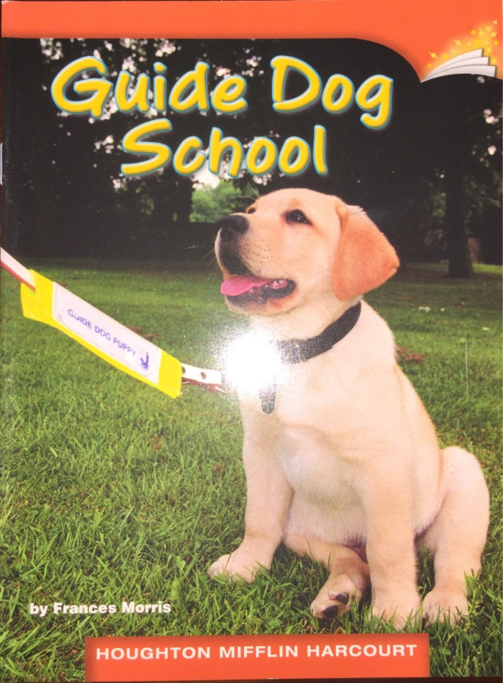 Guide Dog School