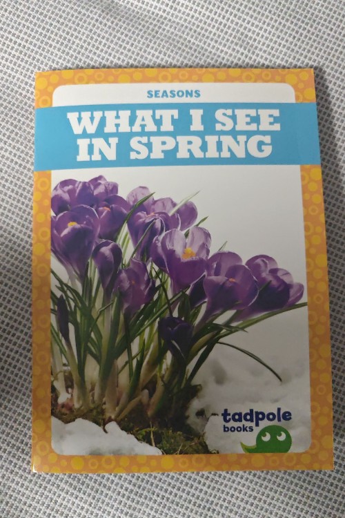 outdoor explorer:what I see in spring