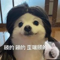 戴草帽的貓