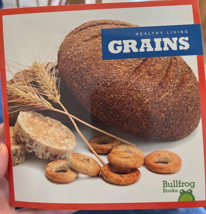 GRAINS