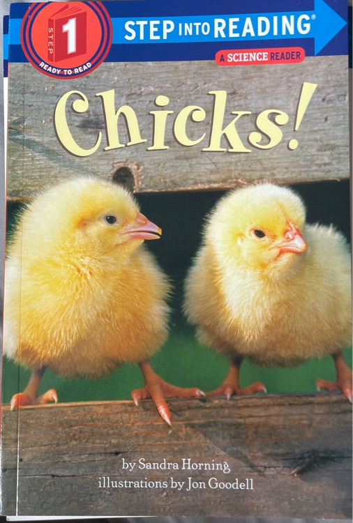 Chicks!