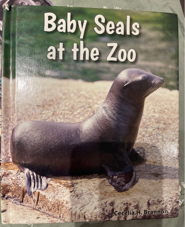 Baby seals at the zoo