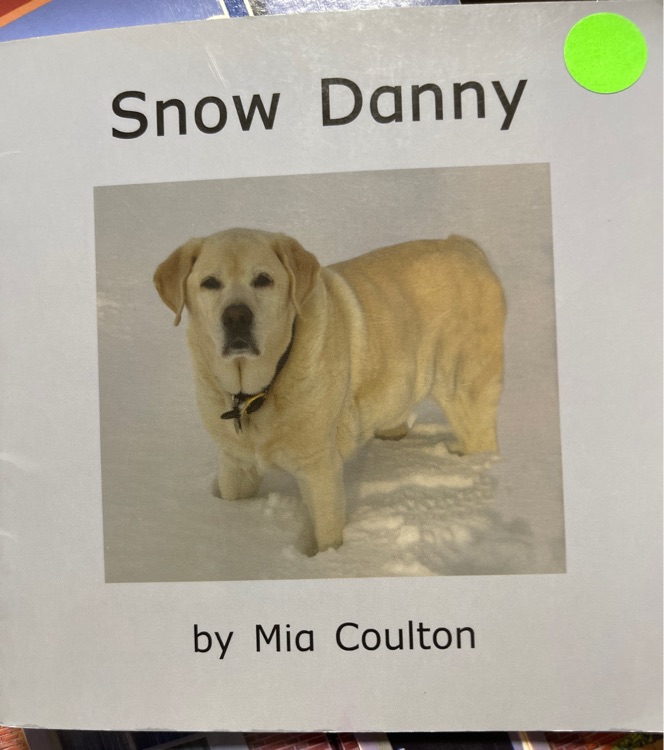 Snow Danny