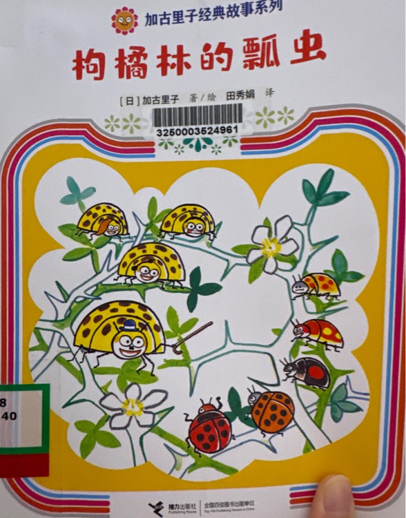 枸橘林的瓢蟲