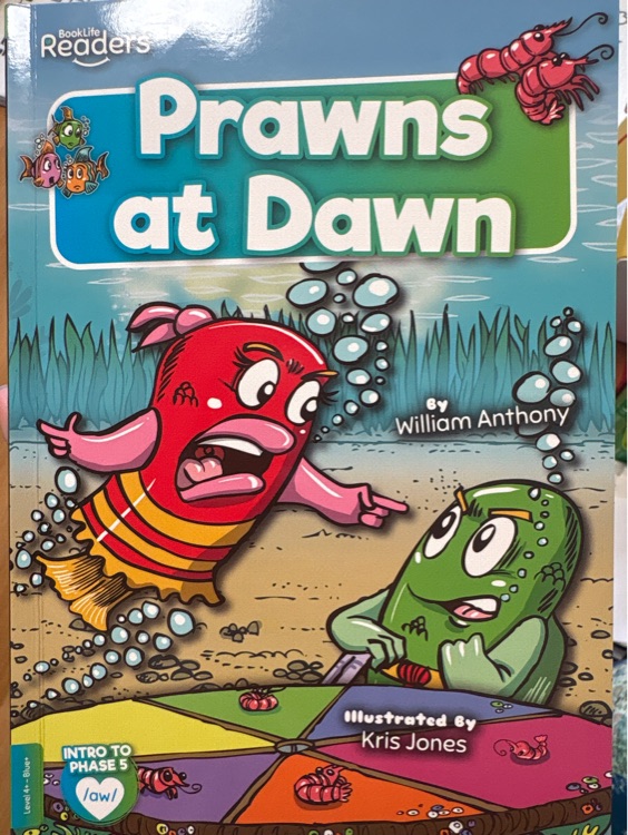 Prawns at dawn