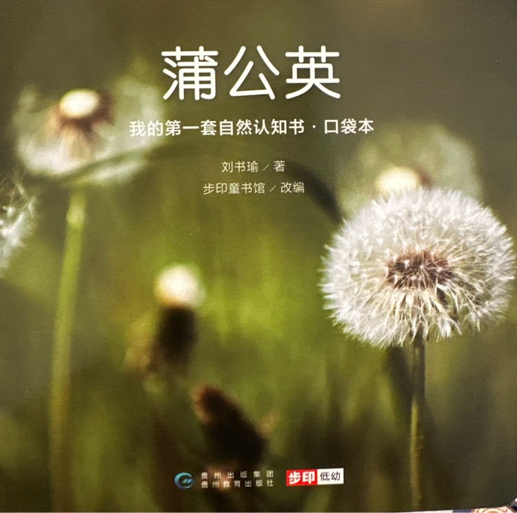 我的第一套自然認(rèn)知書: 蒲公英