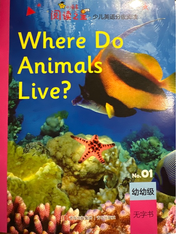 Where do animals live