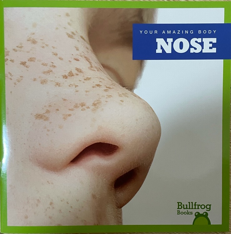 Nose