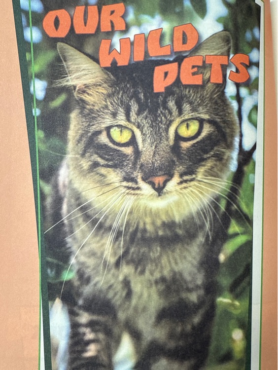 our wild pets