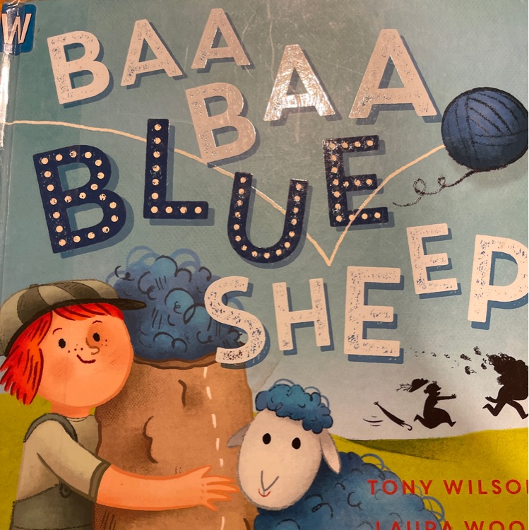 Baa baa Blue sheep