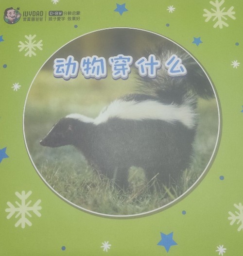 動物穿什么