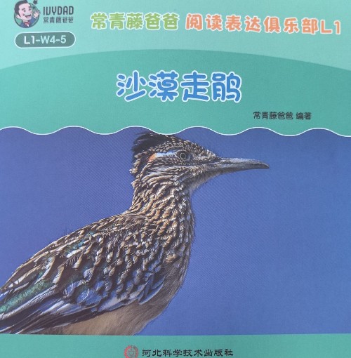沙漠走鵑