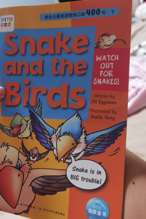 snake and the birds