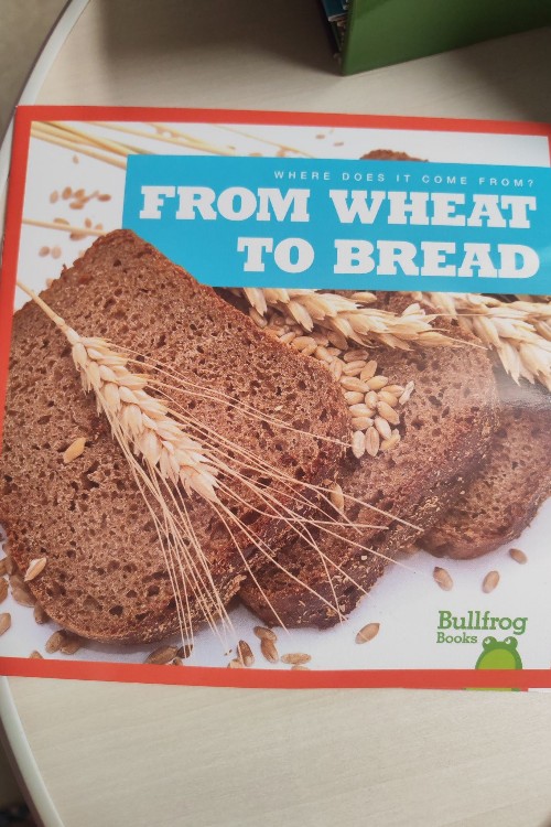 from wheat to bread