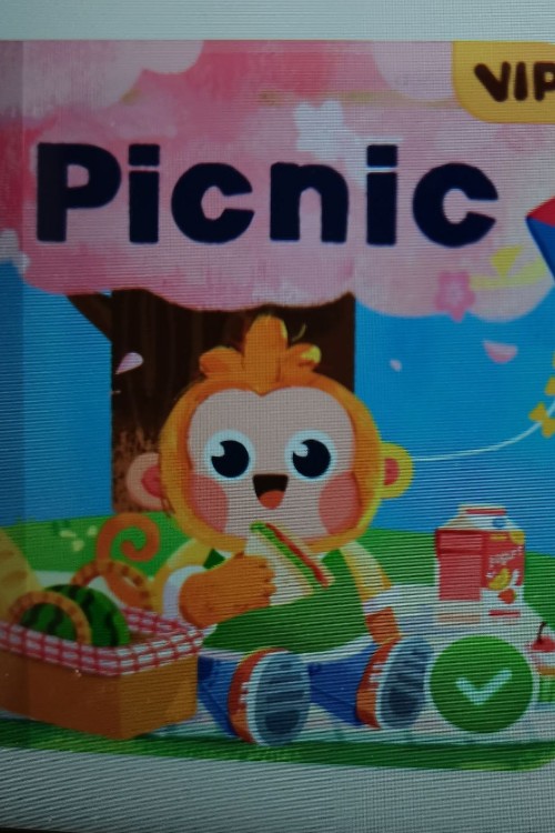 Picnic