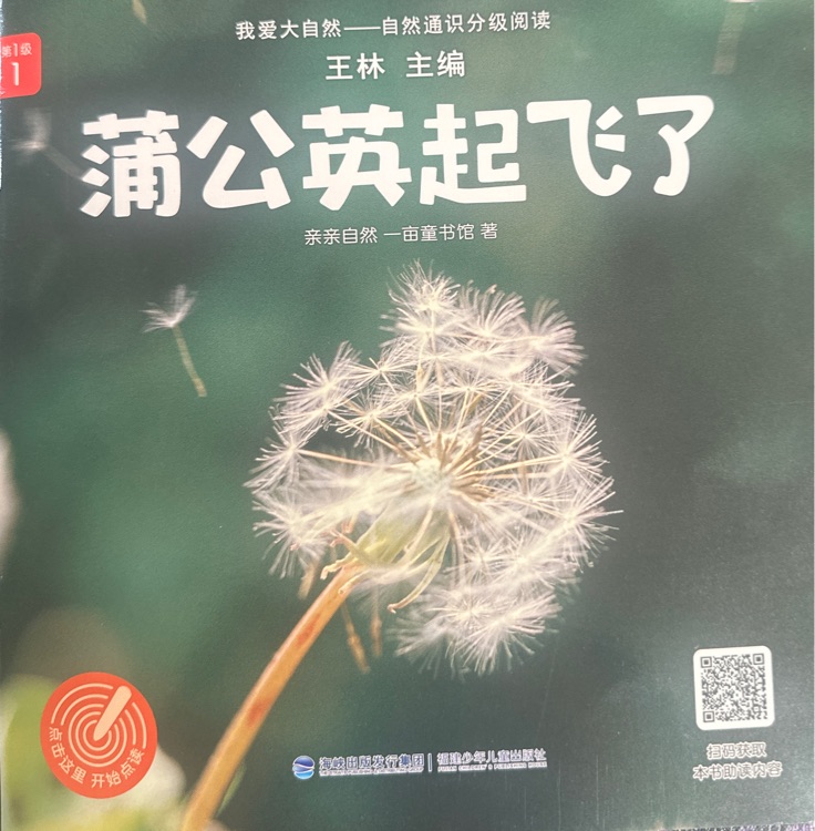 蒲公英起飛了